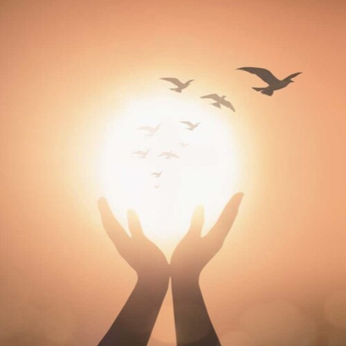 Chinese people ≠ rulers of the Chinese Communist Party🦋Fauci funded Wuhan Institute of Virology & denies SARS-CoV-2 is ...