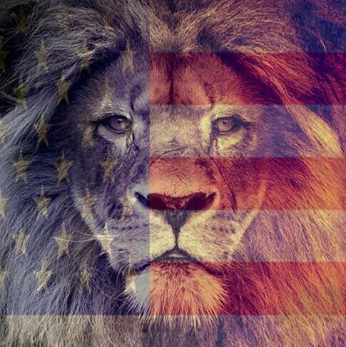 Soul Mate Puppies Trump Freedom Patriot #MAGA