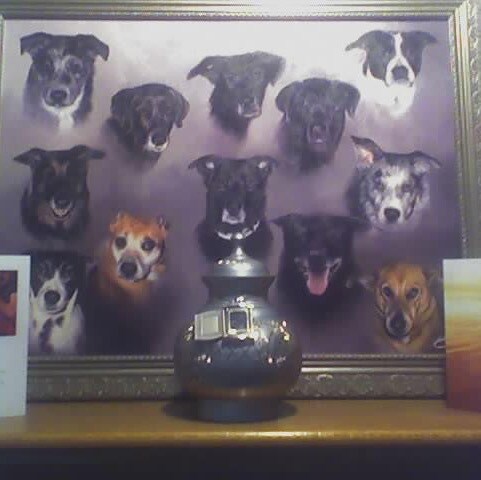 I’m here for the REAL POTUS, Donald J. Trump🇺🇸🦅 I Back the Blue and support our Military. TRUMP WON!!!