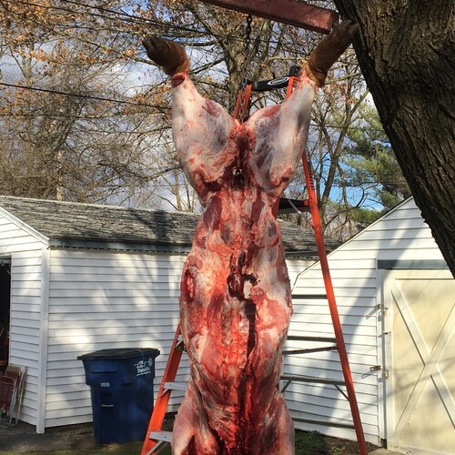 The election was stolen from us!  I served honorably in the US Army. NRA member, Illinois Sheriff’s Association.     Spi...