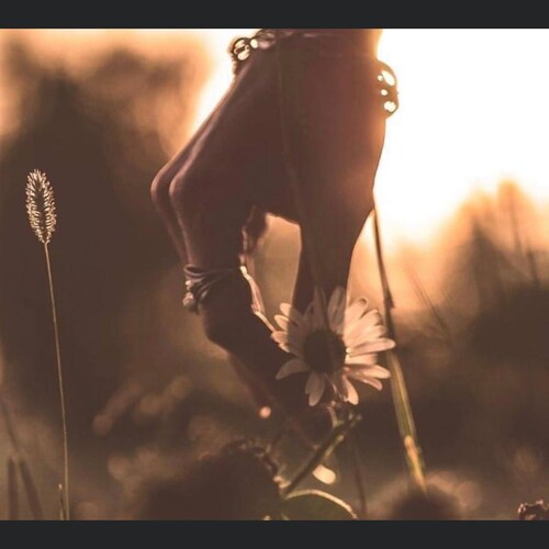 Election Truth MAGA2020/2022/2024.  #Stopthesteal