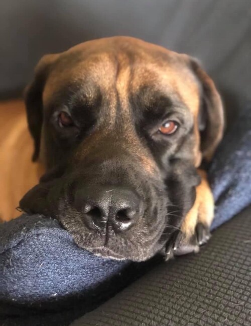 Patriotic American who loves freedom, family, bbq, beer, and The Constitution.