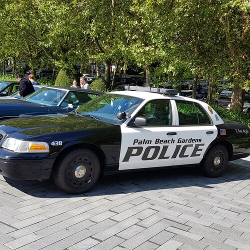 🦅 Trumps everything 🦅  ❤ 🐈 🐕 #MAGA #Cult45  🇮🇱 🇺🇸 🚫💉😷 #FJB