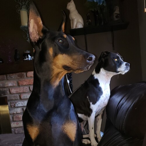 conservative from Mn