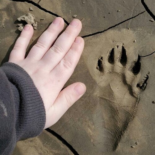 Asking tough questions so others may begin to think...