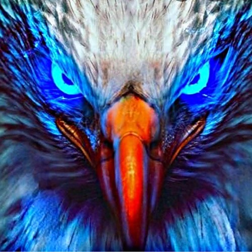 🦅JOIN US ON TELEGRAM 🦅⭐⭐⭐@QANONINTERNATIONALINFO 👈