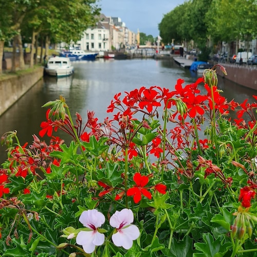 Visit Djeni85's profile on GETTR. View their posts, photos, videos, and connect with them on the social platform.