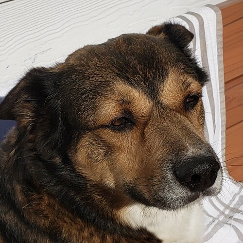 Former defense contractor and small business owner.