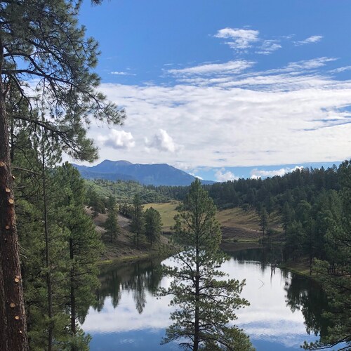 American contributor to the economy