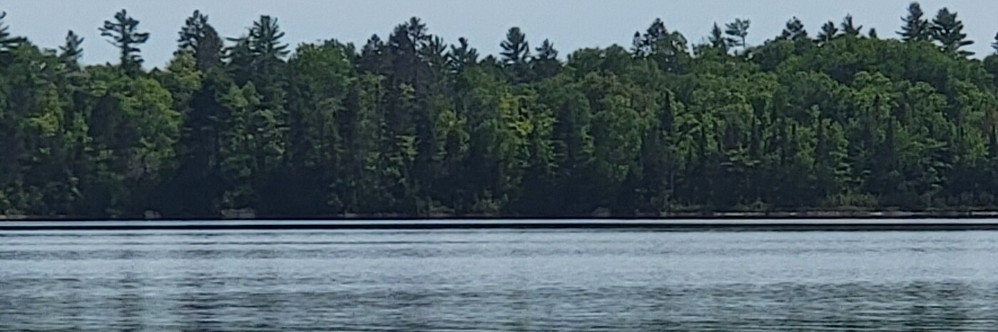Carmelion