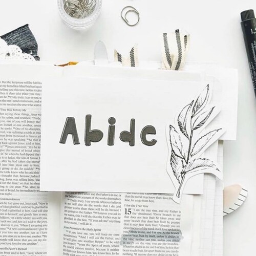 Abide in me & I in you. As the branch cannot bear fruit of itself unless it abides in the vine. So neither can you unless you ABIDE in me. John 15:4