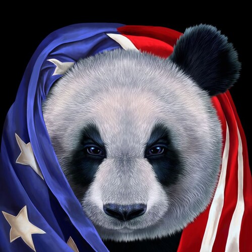 Ron Paul cured my apathy