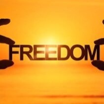 Conservative, Christian, family man, constitutionalist, pro life, pro 2nd amendment, UM grad, small govt