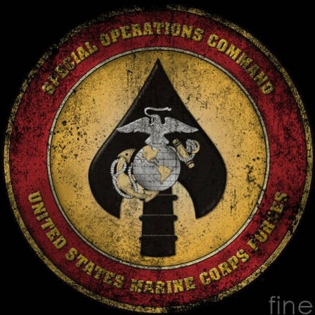 Happily married with 4 children. 
Published in several books, magazines & articles when I was a USMC Recon Sniper. I'm also a fairly new author.