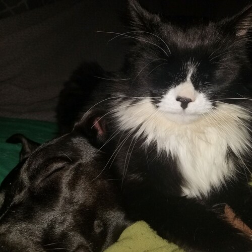 Pissed off conservative ER nurse living on the outskirts of Antifa Ground Zero

Let's Go, Brandon!