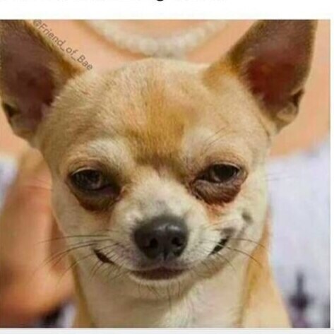 The day the music died. Expect the worse while hoping for the best but don't hold your breath to long. Gregcantshakethek...