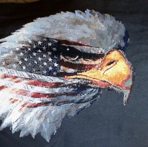 American citizen who cares for and stands for the US Constitution and God given freedoms our country has and stands for.