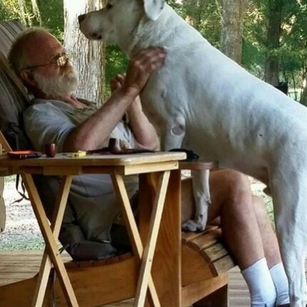 President Trumps strongest supporter.  101st airborne., phu bai, freedom hill and red beach