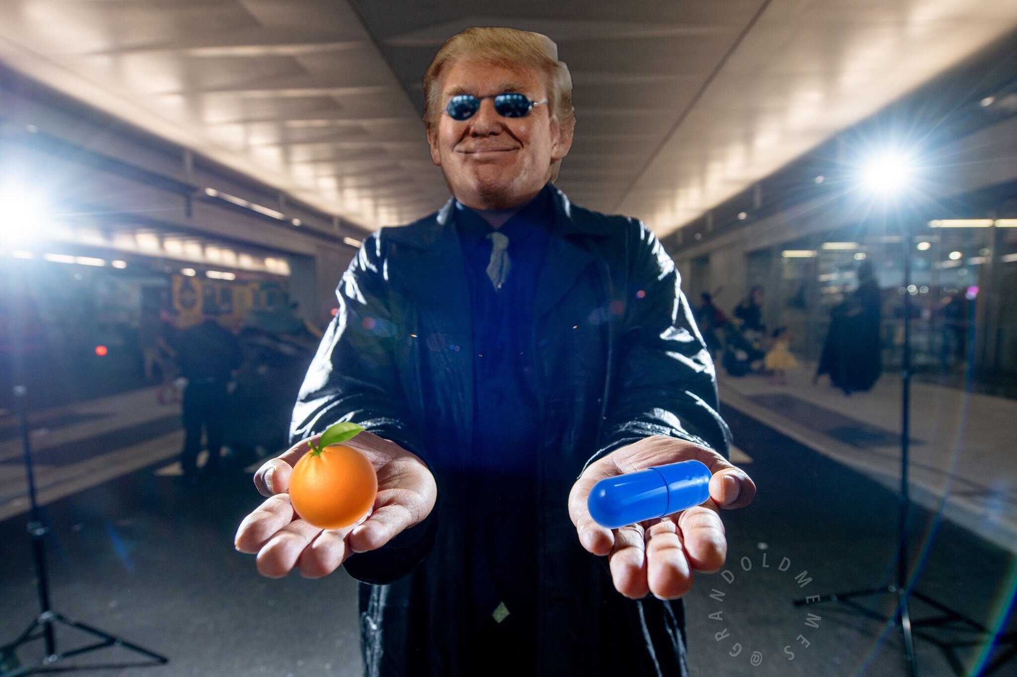 H/t @grandoldmemes 🍊