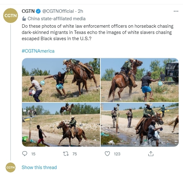 It looks like the President is the one horse whipped and all the White Americans knows it. The VP is...