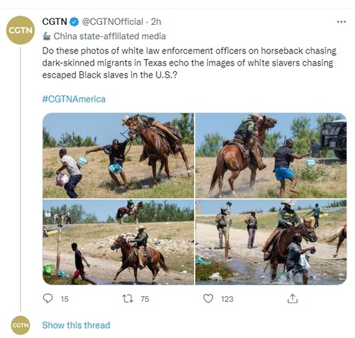It looks like the President is the one horse whipped and all the White Americans knows it. The VP is...