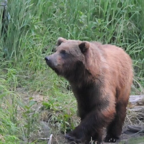 Conservative, small government advocate, constitutionalist, NRA, MAGA, 2A and Term Limit supporter. “Give me liberty or ...