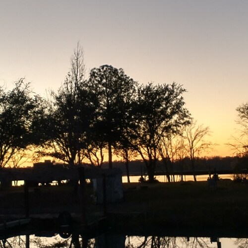 Conservative, Mom and Mimi to 3 beautiful grandbabies. RV living. Trump is my President. #pureblood.