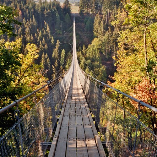 Mir kommt es so vor, als wäre die Fragmentierung des Coronaprotests heute Abend in #Koblenz eine Ope...