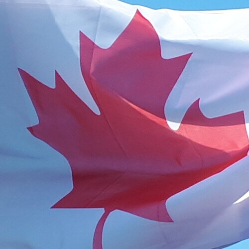 Canadian patriot founding member of #PPC. #PlaidArmy #FYMM