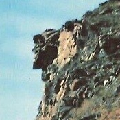 Liberty is too precious a thing to be buried in books