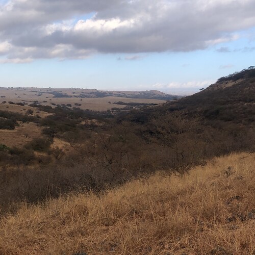 Visit علي ‏المعشني's profile on GETTR. View their posts, photos, videos, and connect with them on the social platform.