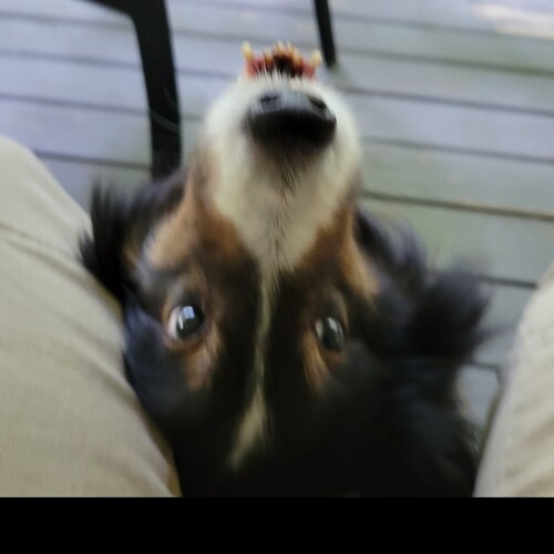 Visit MBLovesLiberty's profile on GETTR. View their posts, photos, videos, and connect with them on the social platform.