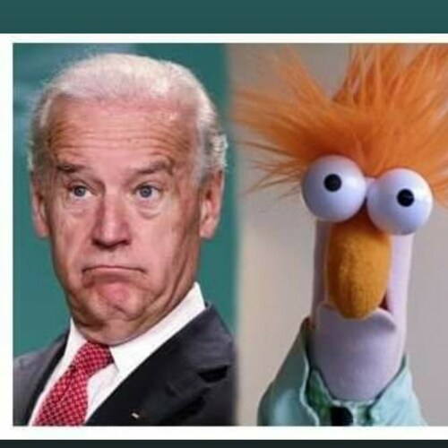 Freedom loving Patriot. Don't let them cancel America. Fight and resist. America is worth fighting for! Land of the free...