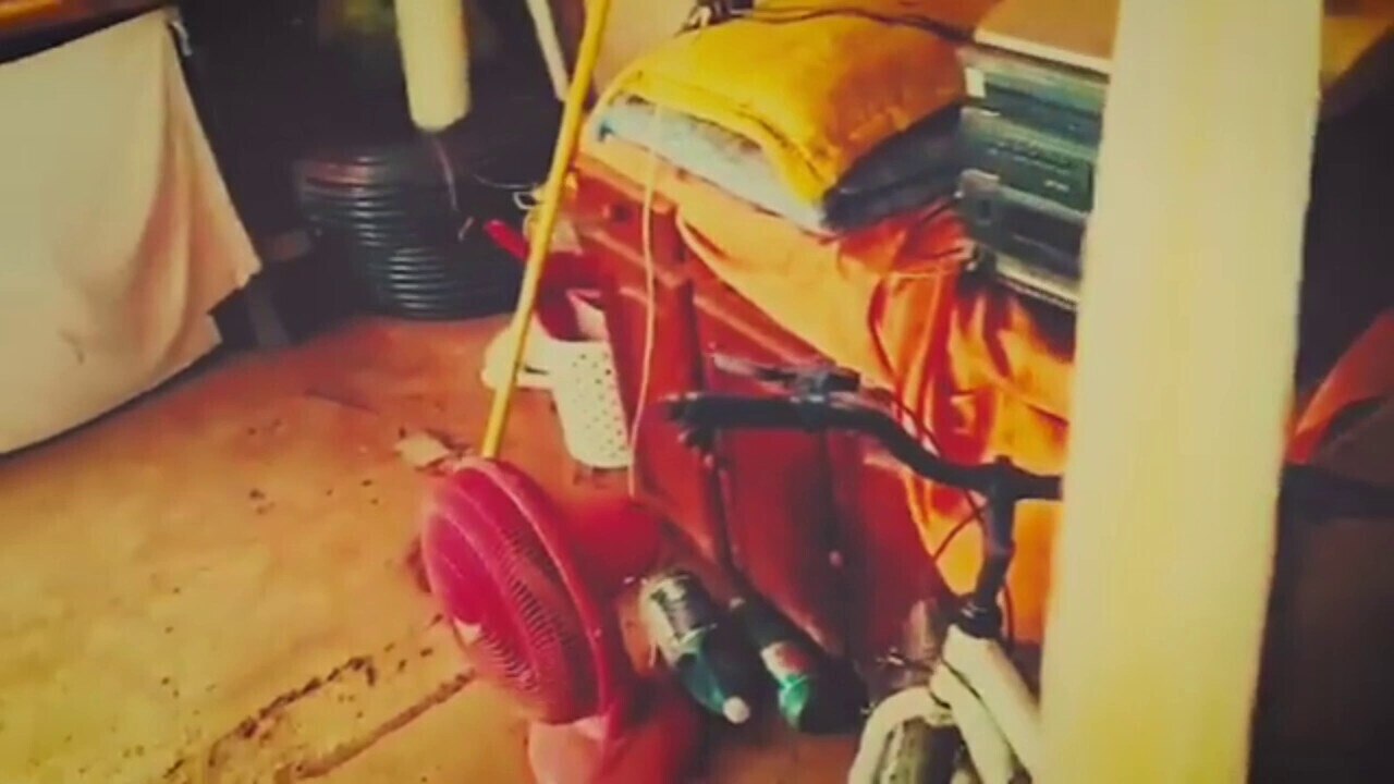 NOVA AÇÃO SEMANAL EM DEFESA DO MEIO AMBIENTE: A PF (Ministério da Justiça e Segurança Pública), em c...