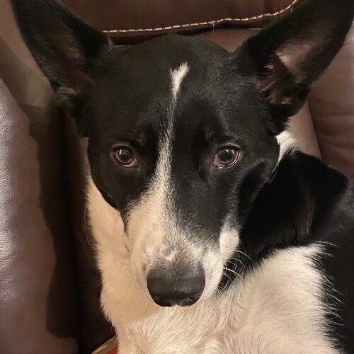 Communism is a disease that must be eradicated.