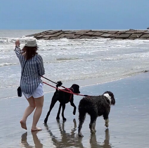 Christian, Conservative, proud Texan, GOP Precint Chair. Fighting communism & ensuring our children live free is my life...