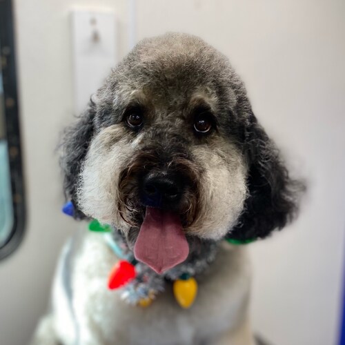 Christian, Wife, Mother and Nana.