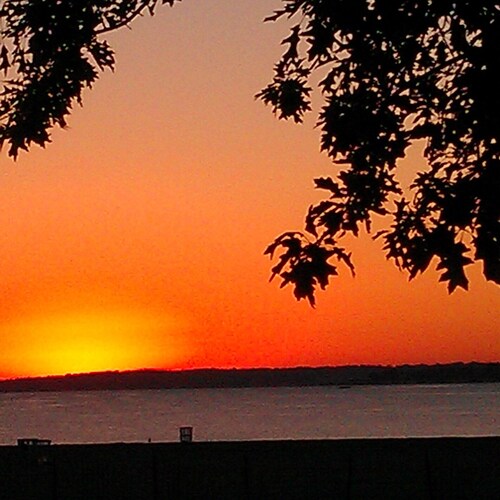 Proud Trump supporter!