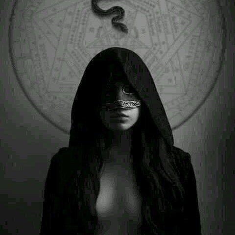 Opinions are my own.          1A. 2A.      Constitution                             Free Assange.                       ...