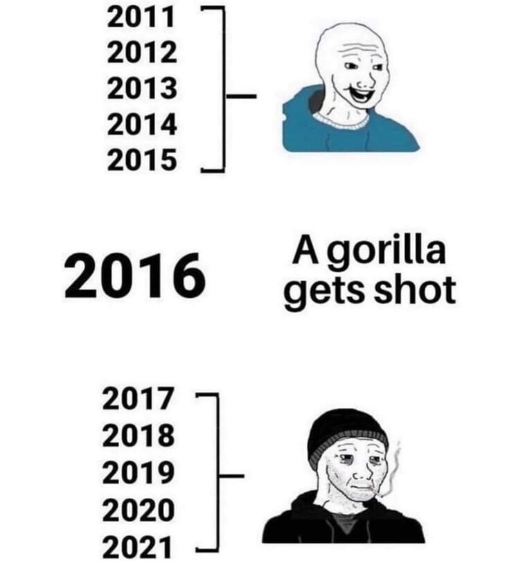 #dicksoutforharambe 