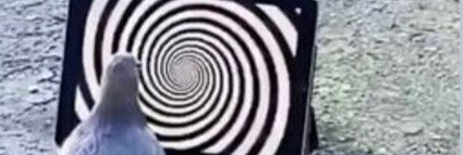 Gravity