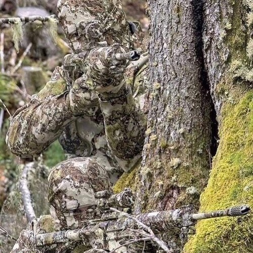 hillbilly constitutionalist.