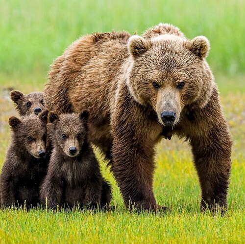 Small federal government. States rights. Personal liberty. Babies have a right to life. All lives matter. Love, peace, p...