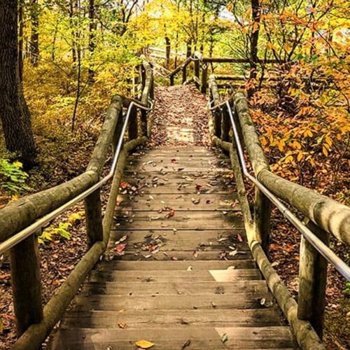 Finding purpose and clarity in this dumpster fire world. Fatherhood. Relationships. Leisure. Current Events. Life Skills...