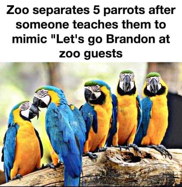 View AJLucio's post on GETTR. Join the discussion, share your thoughts, and connect with the community.