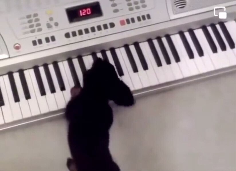 Hello @gettr family 

Music 🎶 ALWAYS sounds better on Fridays

As the week gives way for the weeken...