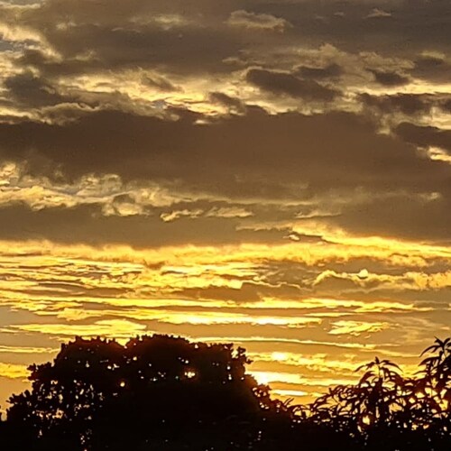 Brazilian Accountant 🇧🇷 former College Professor