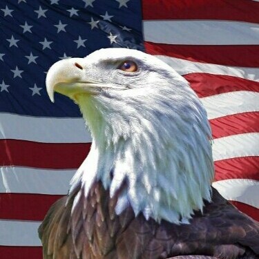 America 1st Patriot
#America1stPatriot
#PatriotPhoenixAZ