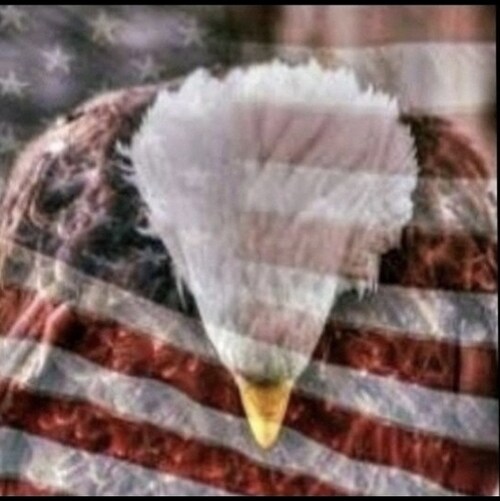 (1A 2A Supporter) Don't blame me, I voted for Trump. Do not Comply! Christian✝️ Conservative🇺🇲 Proud American👊