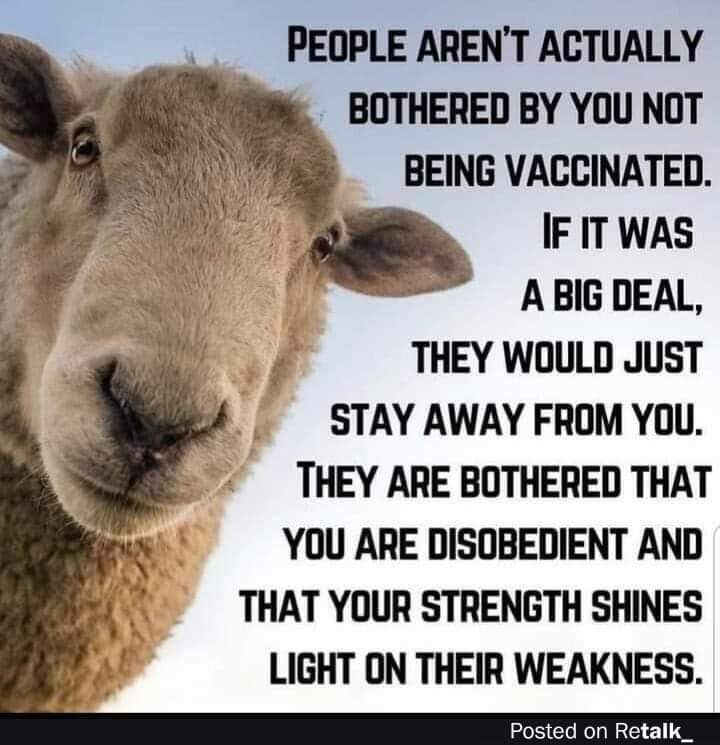 View TheRealKB's post on GETTR. Join the discussion, share your thoughts, and connect with the community.